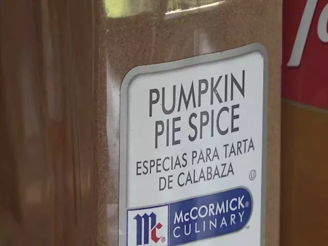 Coffee shops offering pumpkin spice flavor earlier than past years as industry booms