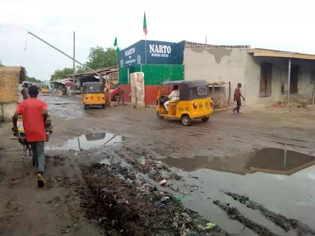 Kano park, market, Maiduguri: 'Goldmine' left to rot