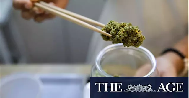 Thailand’s cannabis industry targets tourists in a region tough on drugs