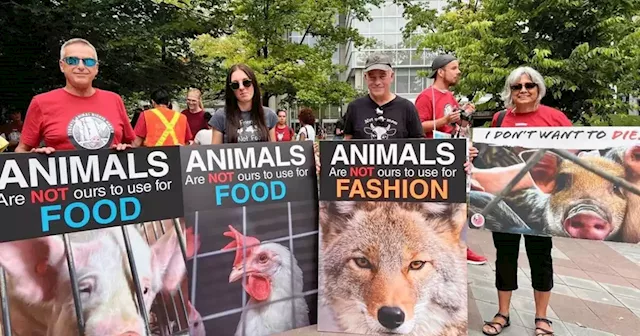 Protestors invaded Toronto's St. Lawrence Market and people have thoughts