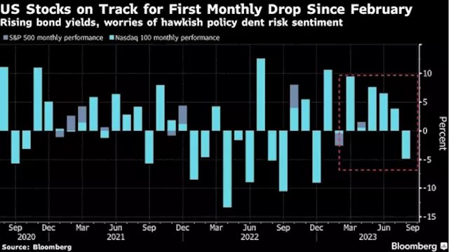 AI Is the Stock Market’s ‘New Growth Thing,’ Citi’s Chronert Says