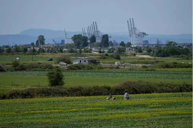 B.C.’s agriculture industry at forefront of climate change reality