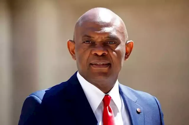 Elumelu Urges Further Investment In Nigeria’s Power Sector