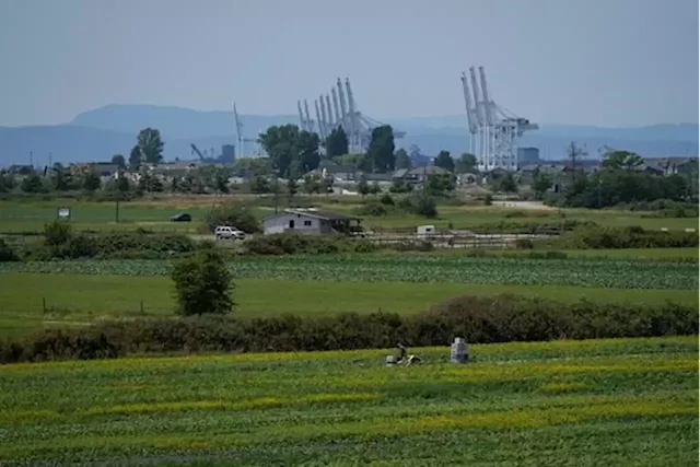 B.C.'s agriculture industry at forefront of climate change reality