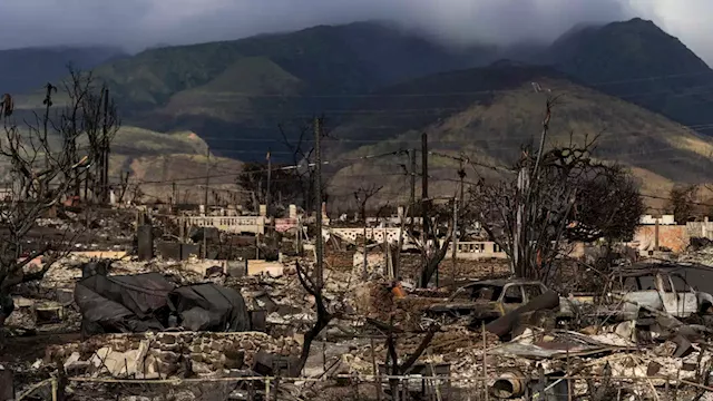 Hawaii Power Company Takes Partial Responsibility for One of Maui's Wildfires