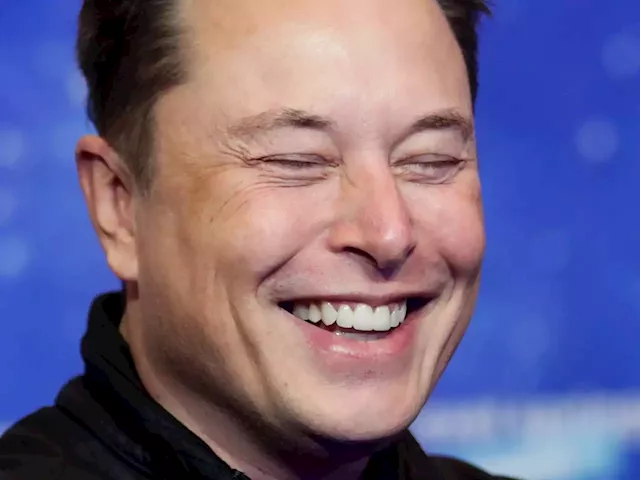 AFP sues Elon Musk's X to get it to pay for news | Business