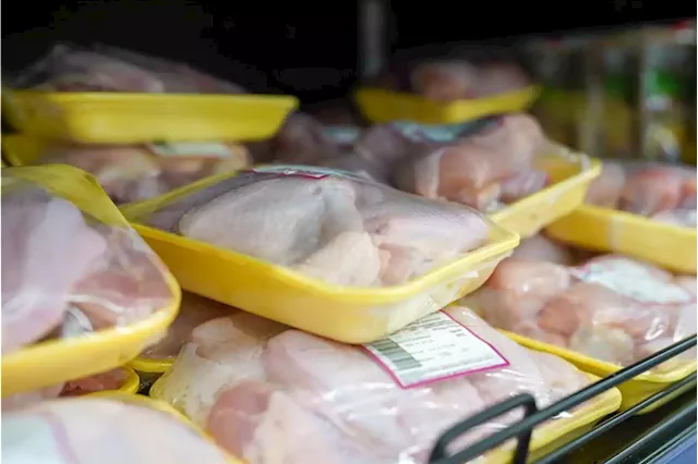 Consumers warned to brace for chicken price hikes as anti-dumping duties set to kick in | Business