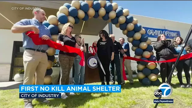 San Gabriel Valley's first no-kill animal shelter now open in City of Industry