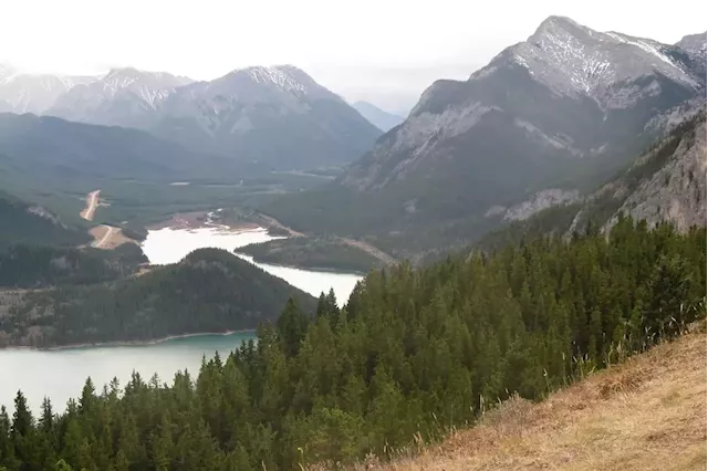 Ottawa investigating logging company over bridge in Alberta’s Kananaskis Country