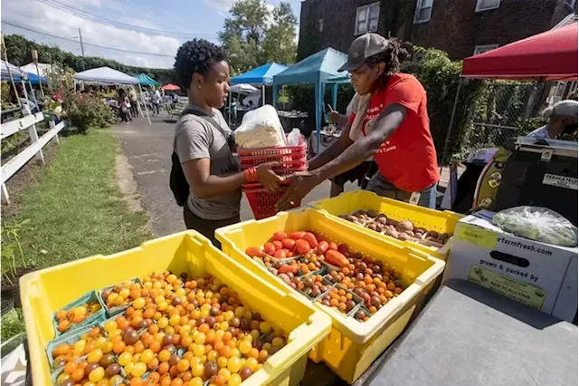 The Black Farmers Market is ‘bringing the village back together’