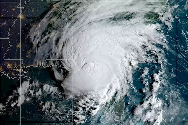 Factbox-Stocks to watch as Hurricane Idalia makes landfall in Florida