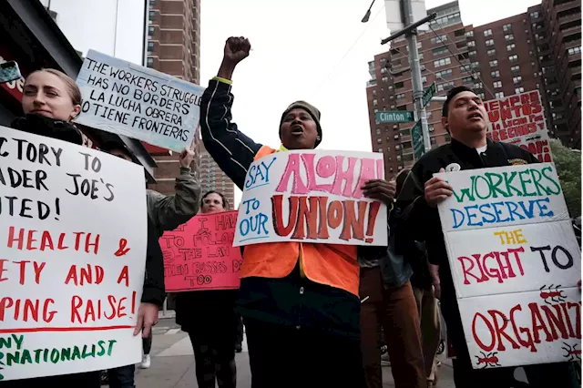 Trader Joe’s Union Files to Force Company to Recognize Union Under New NLRB Rule