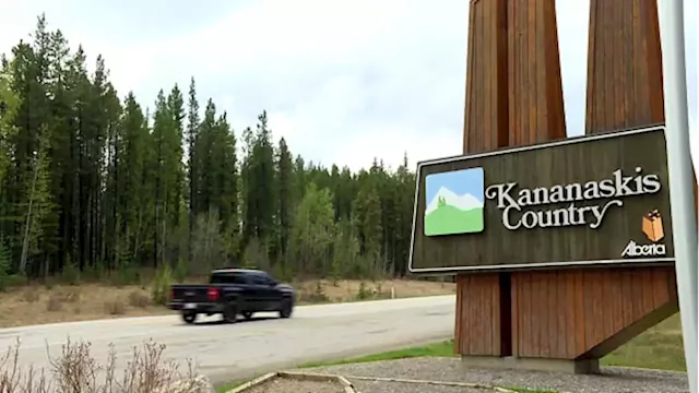 Ottawa investigating logging company over bridge in Alberta's Kananaskis Country