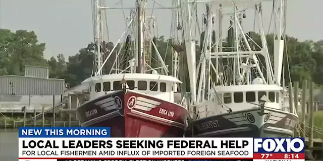 More help could be coming to commercial fishing industry in Mobile County