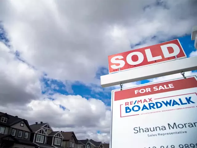 Mixed signals: Why it's hard to tell if Canada's real estate market is hot or not right now