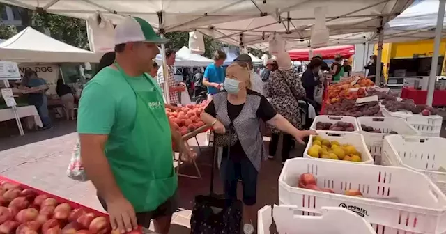 UN Plaza hosts last farmer's market as move to new location set for early Sept.