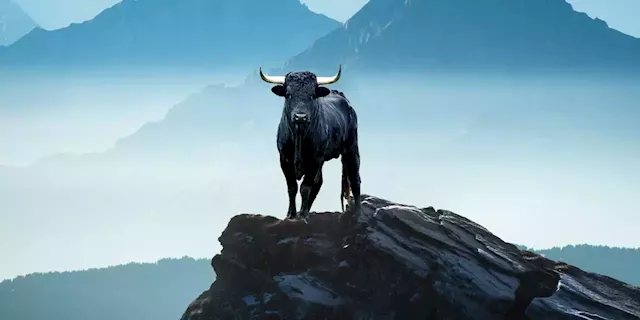 Stock market bulls are still on top