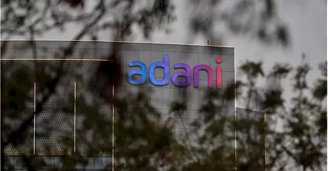 Adani family's partners used 'opaque' funds to invest in its stocks