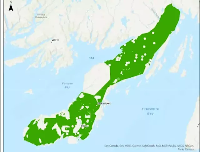 Four companies advance in N.L. wind-hydrogen process