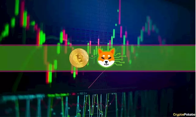 Calm Before the Storm? Bitcoin Squeezing at $29K, SHIB Spikes on Binance News: Market Watch