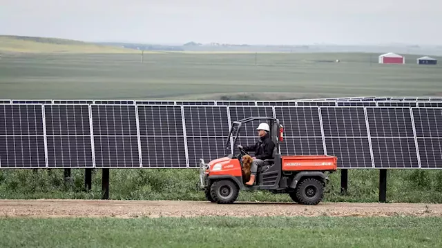 Opinion: Alberta’s pause on solar and wind projects risks jobs, investment and reputation