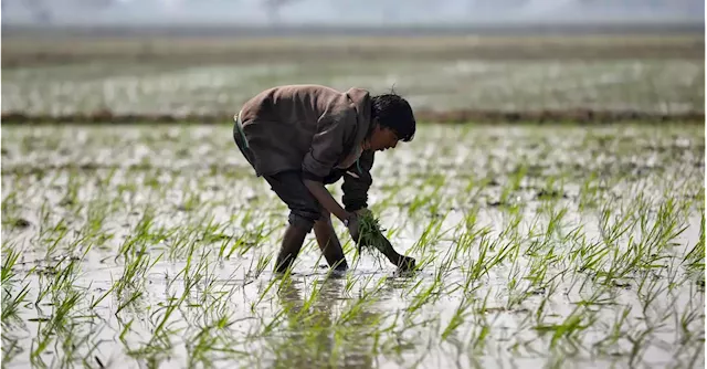 How El Nino threatens emerging market economies