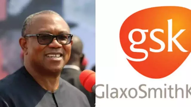 GSK Company, Other Multinationals Are Sadly Leaving Nigeria Over Government’s Poor Economic Management – Peter Obi | Sahara Reporters