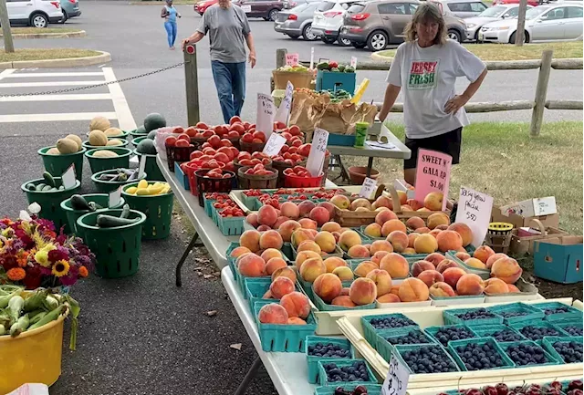 Seniors can get $50 vouchers to the Burlington County Farmers Market