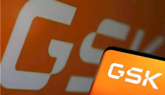 Nigerian industry fears GSK pullout may trigger mass exit - The Africa Report.com