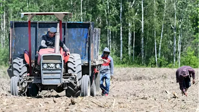 Pilot program seeks to reward companies that better protect temporary foreign workers