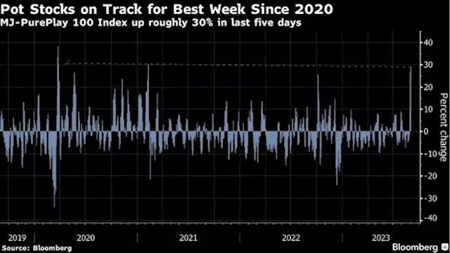 Pot Stocks See Best Week Since 2020 on Call to Lower Marijuana Risk Category