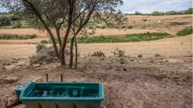 Spanish Food Industry Group Makes Plea for Water as Drought Threatens Crops