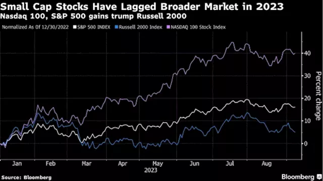 Short Sellers Reap $13 Billion on Gaps in Winner-Take-All Market