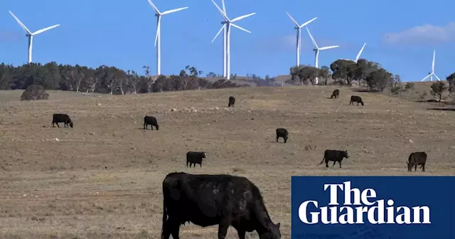 Strong support from Australian business to phase out fossil fuels by 2040, survey finds