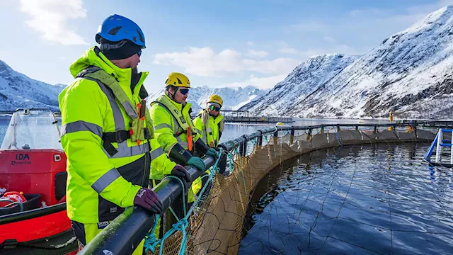 Why These Companies Are Choosing Collaboration Over Competition, For a Climate Resilient Future - SPONSOR CONTENT FROM GLOBAL SALMON INITIATIVE