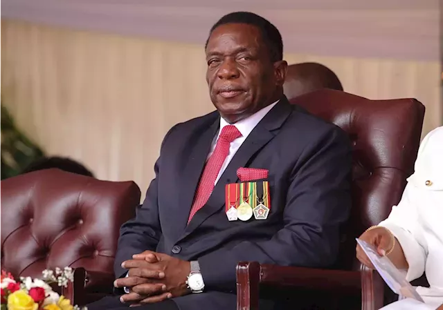 Emmerson Mnangagwa catapults his son into Zimbabwe's cabinet – as deputy finance minister