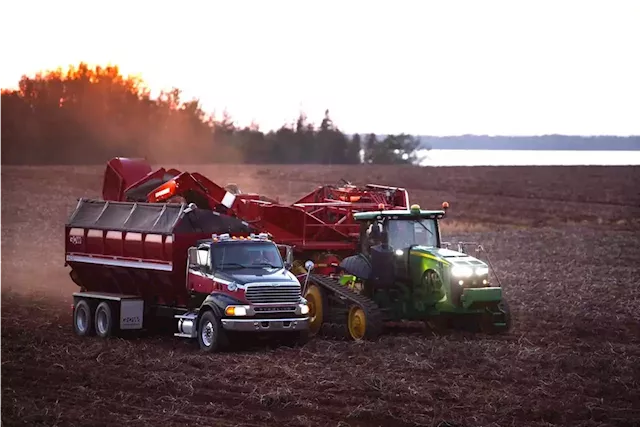 Federal, provincial governments announce $46-million agreement for P.E.I.'s agriculture industry