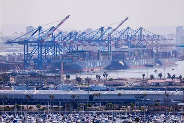 US West Coast ports gained market share in August after labor deal -report