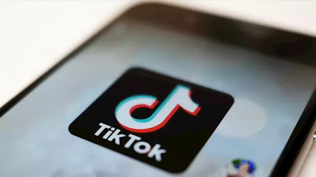 TikTok Shop launches in the US as company bets big on e-commerce