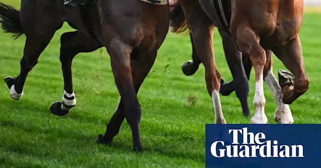 Sexual assaults and ‘ritualised violence’ uncovered in review of Victoria’s racing industry