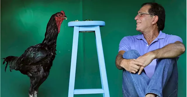 Brazilian farmer's giant rooster hobby hatches into profitable business