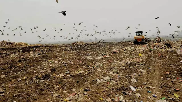 Buy this landfill stock as it flexes its strong market share, Goldman Sachs says