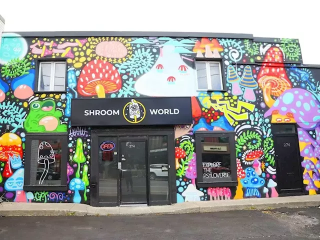 Magic mushroom shop says police, landlord turning up heat on business