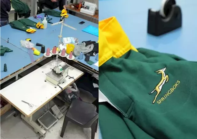 Booming Springboks jerseys black market targeted by Commercial Crimes Unit