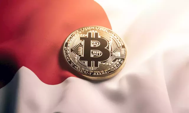 Japan startups ditch funding via stocks, to use crypto instead?