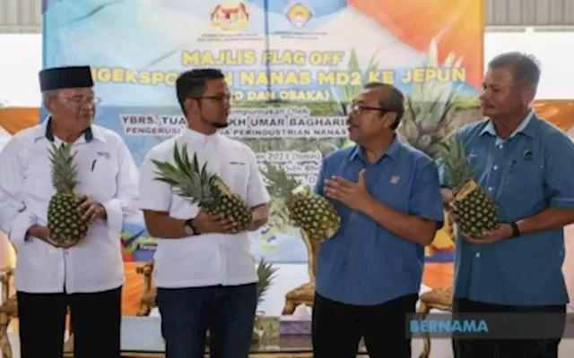 Osaka is new export destination for Malaysia’s MD2 pineapples, says industry board