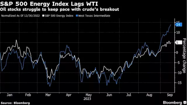 Energy Stocks Fail to Lure Retail Investors Despite Oil Rally