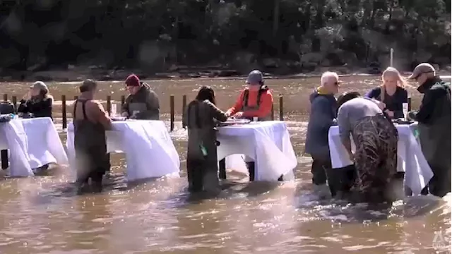 Oyster farmers in Australia expand into tourism, offer in-water dining experience to keep industry alive