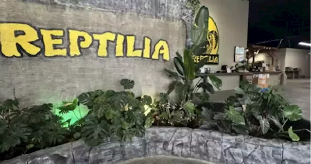 Free vendors market coming to Reptilia in Whitby