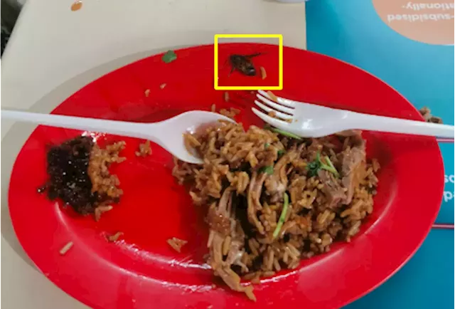 Woman shocked to see 'cockroach on duck rice' at Bukit Timah Market Food Centre